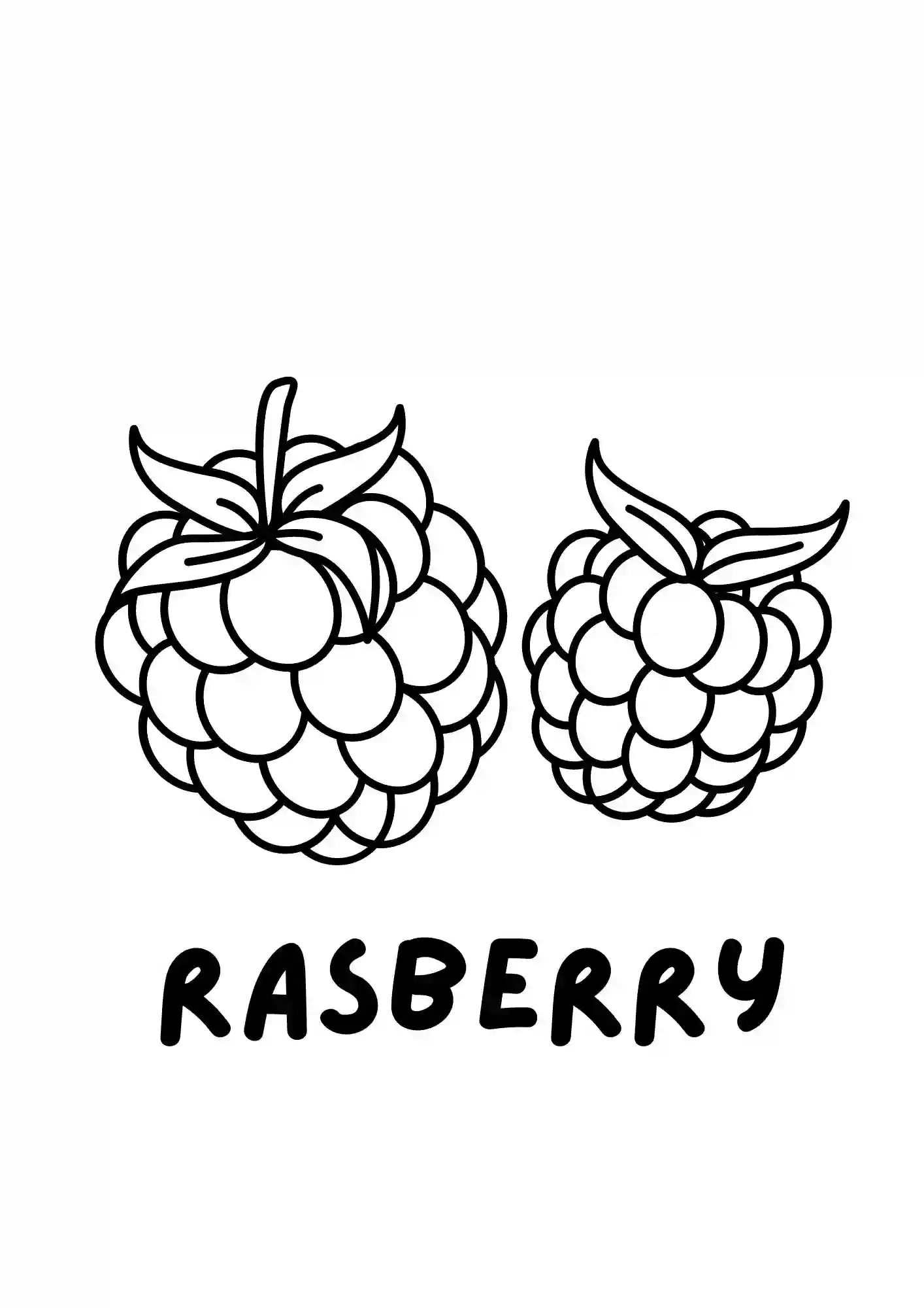 Fruits Colouring worksheet (Rasberry)