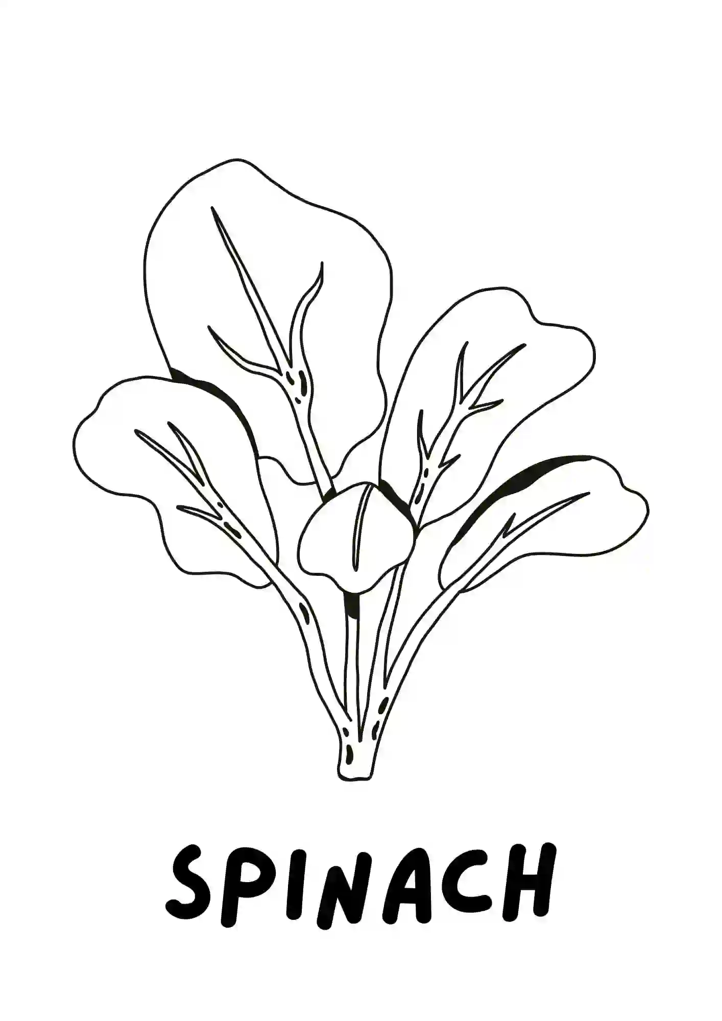 Vegetables Colouring Worksheets spinach