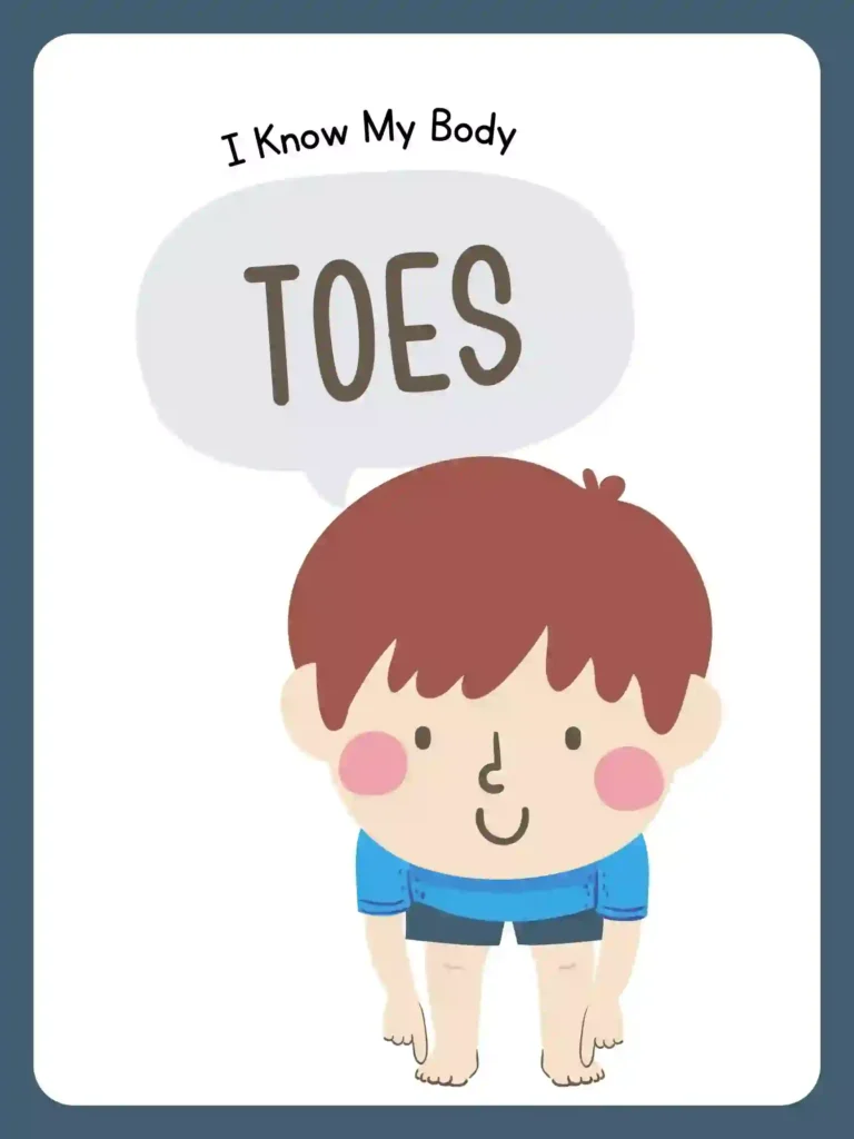 Printable Body Parts Posters For preschoolers and kindergarten (toes)