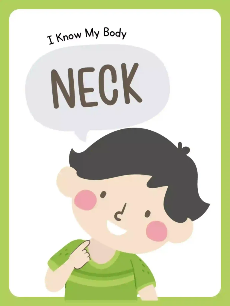 Printable Body Parts Posters For preschoolers and kindergarten (neck)