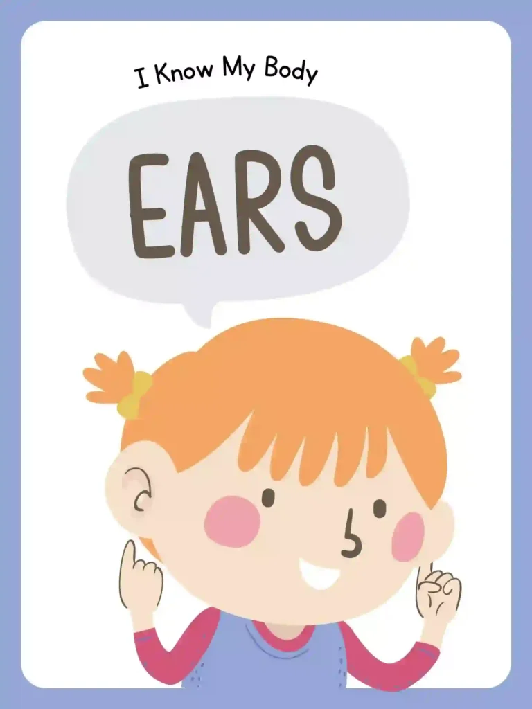 Printable Body Parts Posters For preschoolers and kindergarten (ears)