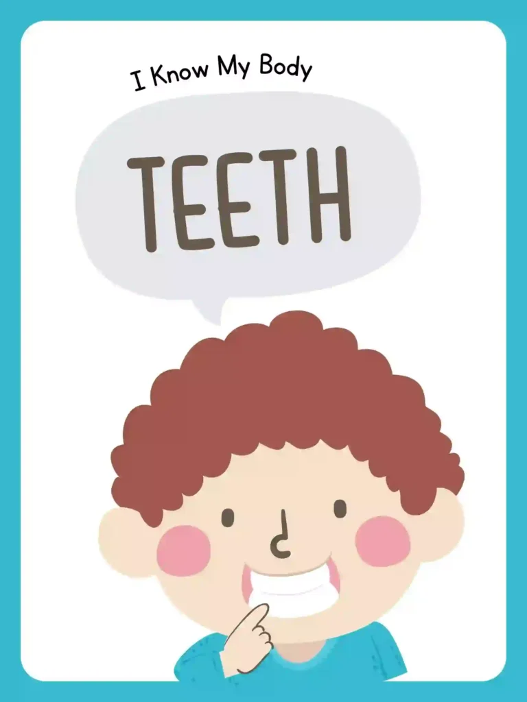 Printable Body Parts Posters For preschoolers and kindergarten (teeth)