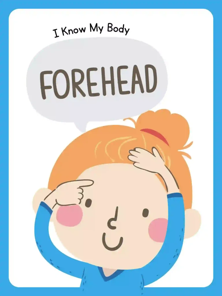 Printable Body Parts Posters For preschoolers and kindergarten (forehead)