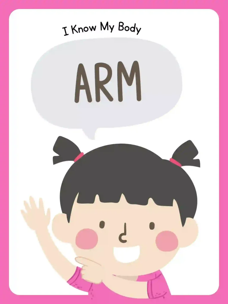 Printable Body Parts Posters For preschoolers and kindergarten (arm)