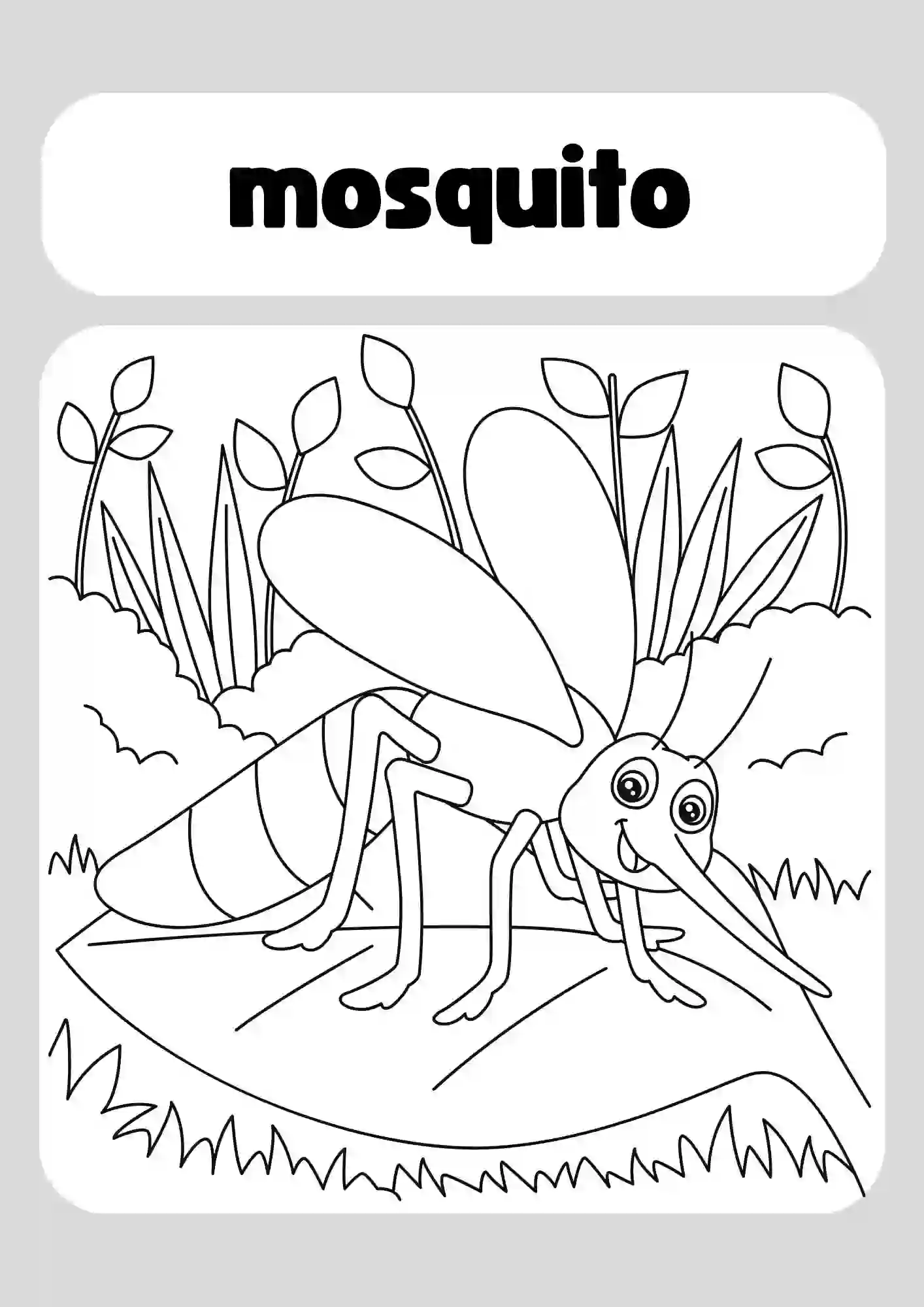 Insects Coloring Worksheets for Kindergarten (mosquito)