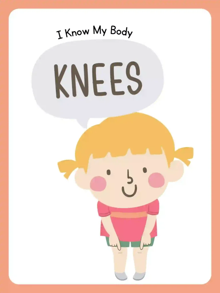 Printable Body Parts Posters For preschoolers and kindergarten (knee)