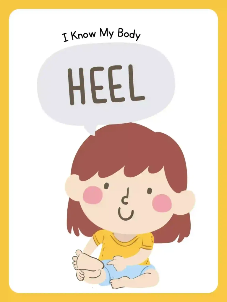 Printable Body Parts Posters For preschoolers and kindergarten (heel)