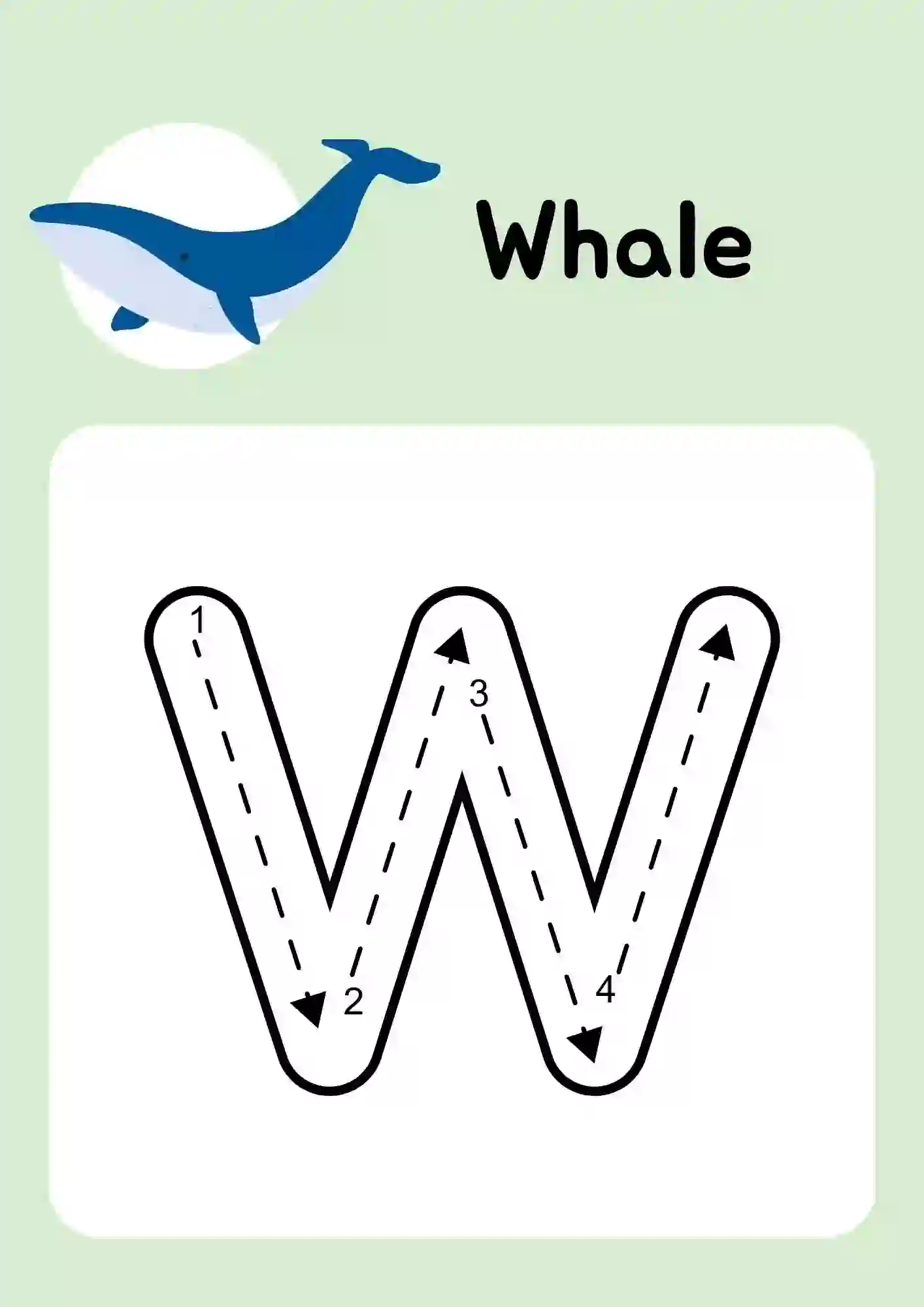 Uppercase Alphabet (W) Tracing Worksheets Kindergarten